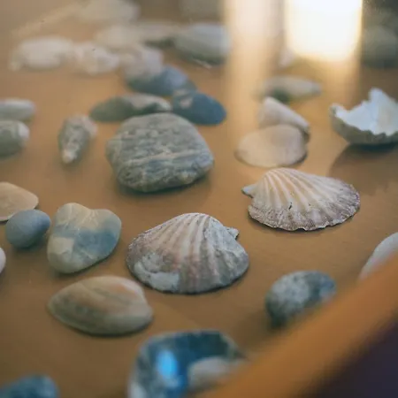 Βίλα Kalma Σάντα Μαρία